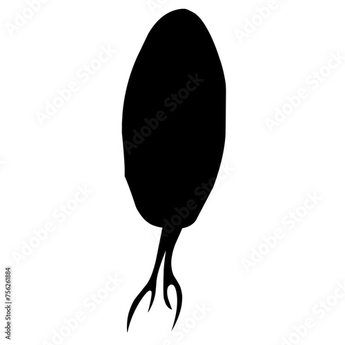 Sillhouette Copepod Microorganisms