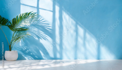 Blurred shadow from palm leaves on the light blue wall. Minimal abstract background for product presentation. Spring and summer.