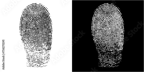 fingerprint vector texture photo