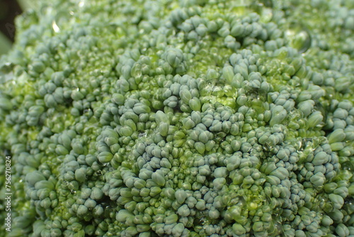 broccoli vegetable from my garden