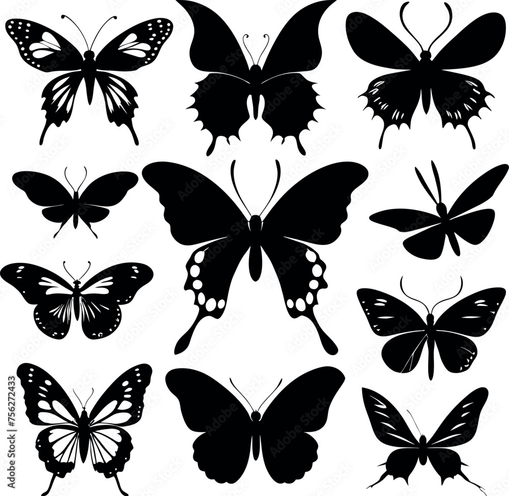 set of butterflies isolated on white set of butterflies isolated on white