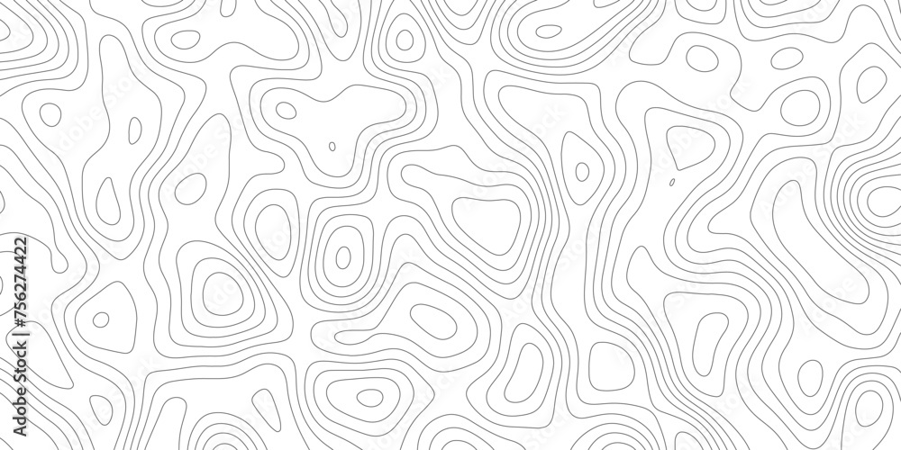 White vector design topography vector earth map terrain texture wave paper terrain path high quality desktop wallpaper clean modern.lines vector,topology.
