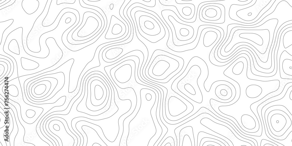 White topography vector.abstract background topology terrain path high quality.strokes on,clean modern,land vector wave paper earth map.map of.
