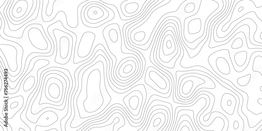 White topographic contours desktop wallpaper.wave paper abstract background terrain path land vector lines vector,topology topography curved lines.clean modern.
