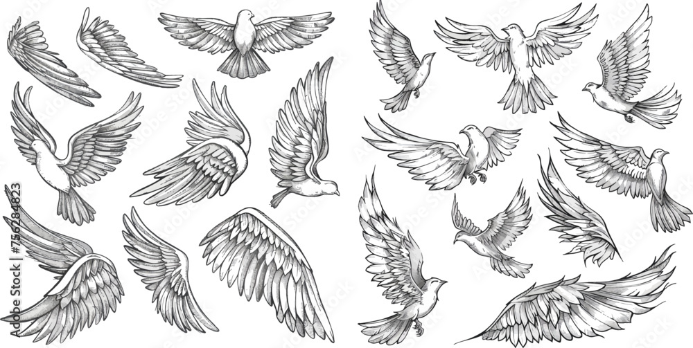 Angel bird and dove winged, wing drawn tattoo contour Angel bird and dove winged, wing drawn tattoo contour