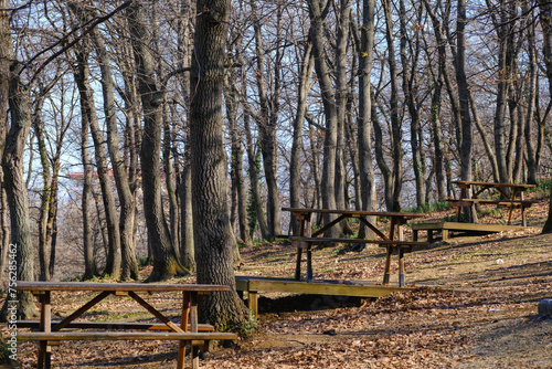 Picnic area covered with trees  trees and tables