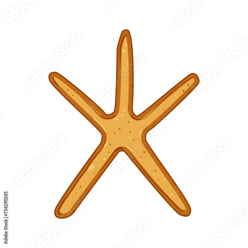 sunsilhouette sea star cartoon. element twilight, fish shell, evening beach sunsilhouette sea star sign. isolated symbol vector illustration photo