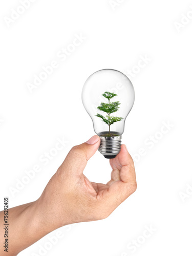 hand holding light bulb with green tree inside of, transparent background