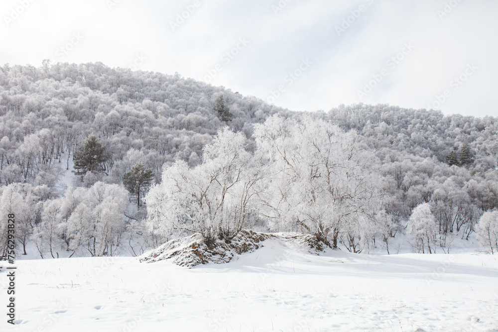 Karachay-Cherkessia, Russia. Caucasus Mountains winter landscape. Karachay-Cherkessia, Russia. Caucasus Mountains winter landscape.