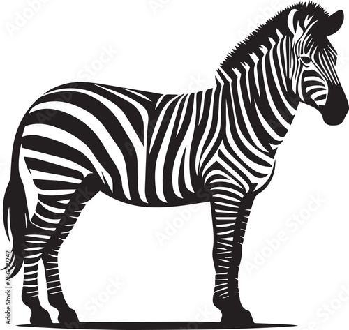 Zebra Silhouettes Zebra EPS Vector Zebra Clipart 