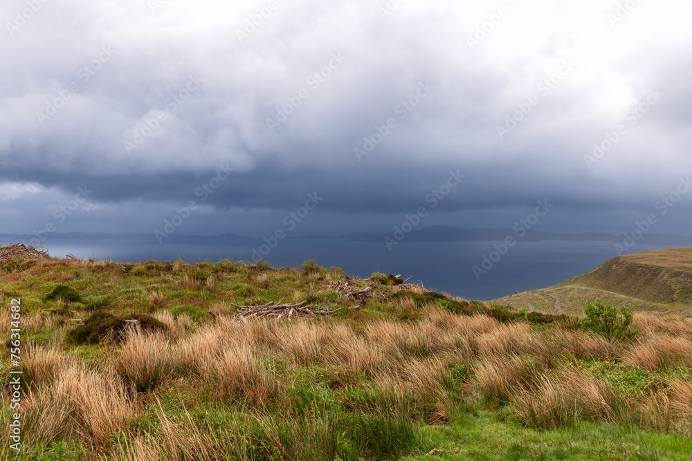 The wild grasses of Isle of Skye coast bend to the will of the wind under a dramatic, stormy sky, with a glimpse of distant shores beneath the tempest. Scotland The wild grasses of Isle of Skye coast bend to the will of the wind under a dramatic, stormy sky, with a glimpse of distant shores beneath the tempest. Scotland