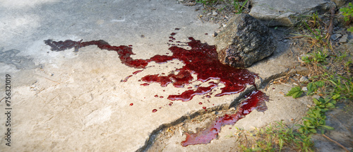 Bloodied stone lies on the ground