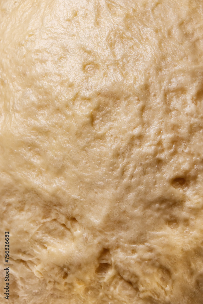 Raw dough from white wheat flour for making bread or bakery, natural culinary background close-up Raw dough from white wheat flour for making bread or bakery, natural culinary background close-up
