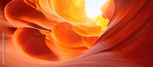 A flowering plant in the canyon with peachcolored petals, emitting an amber glow under the heat of the sun. An artistic pattern of orange light surrounds the plant