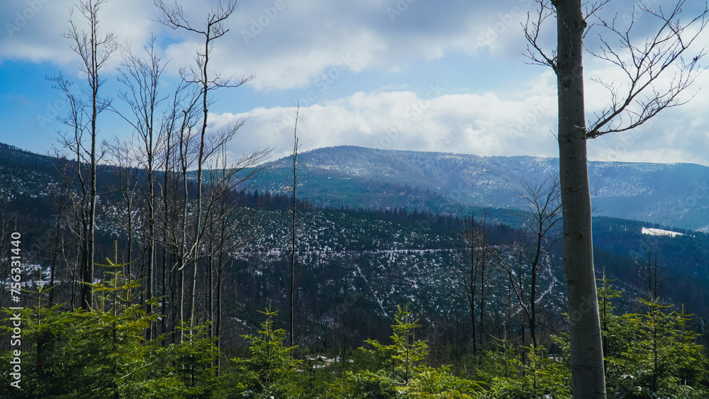 Góry, Beskid Śląski widok na Baranią Górę zimą