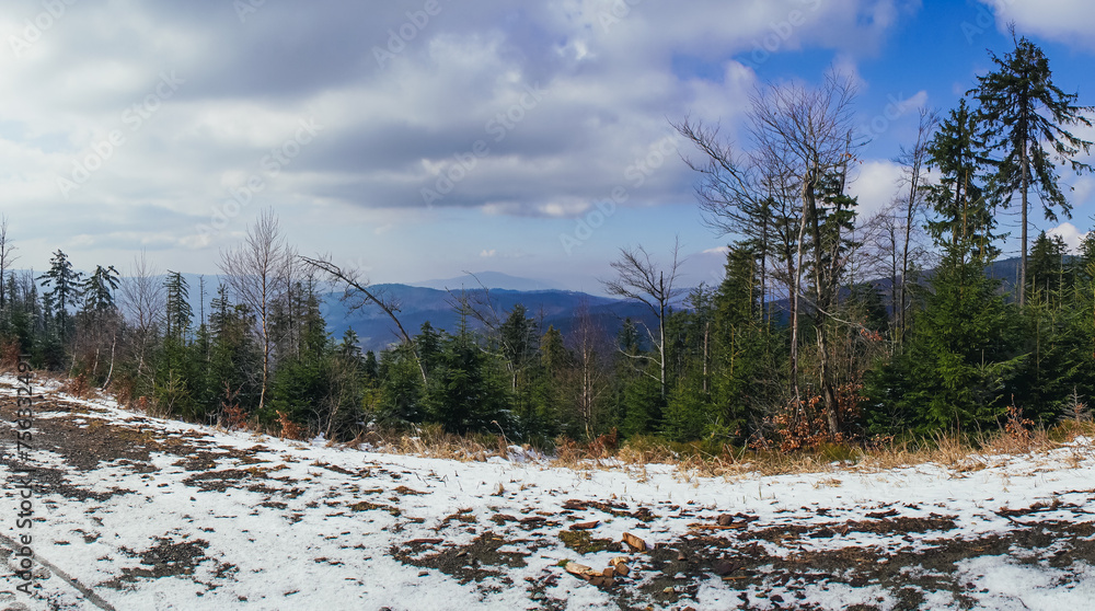 Zima w górach. Beskid Śląski na Śląsku w Polsce, rejon najwyższego szczytu w Beskidzie Śląskim, Skrzycznego