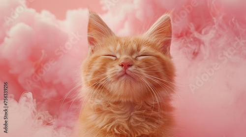 Happy red cat in pink powder clouds