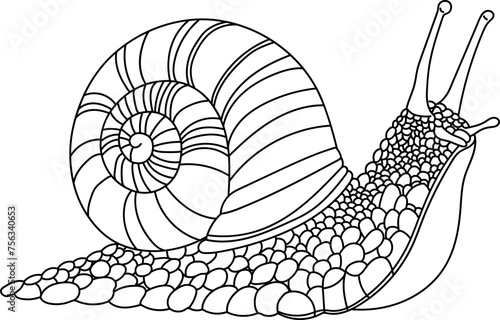 Snail Outline