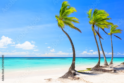 Fototapeta Naklejka Na Ścianę i Meble -  Beautiful tropical white sand beach and coconut palm tree in Cap Cana Dominican Republic.