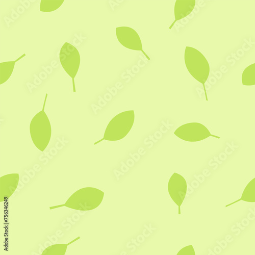 Eco Oregano herb seamless pattern. Green background. photo