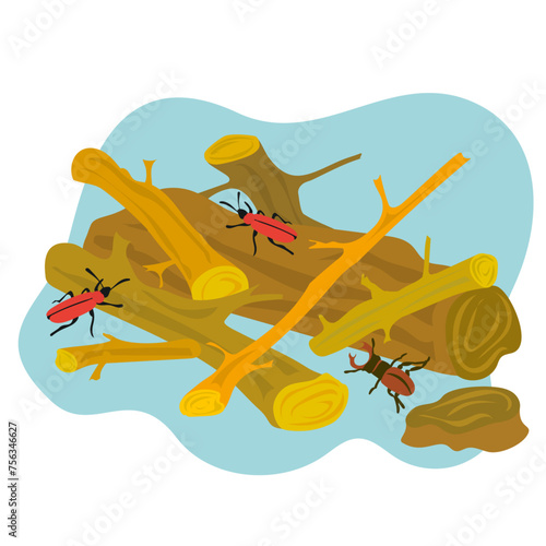 Illustration of fallen and abandoned trees to create a small nature reserve "deadwood reserve" for insects