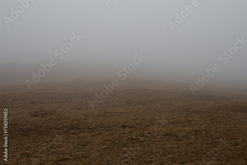 campo nella nebbia