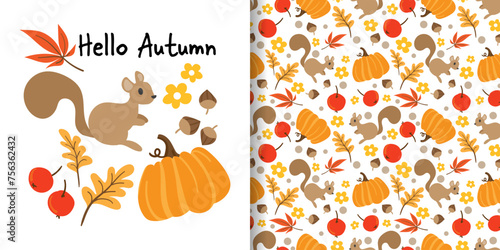 Autumn season banner and seamless pattern of squirrel with pumpkin, autumn leaves, berries, acorns and flowers on white background.