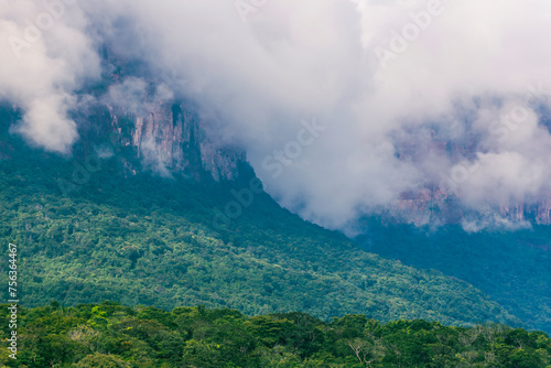 Auyantepui  Canaima National Park  Venezuela