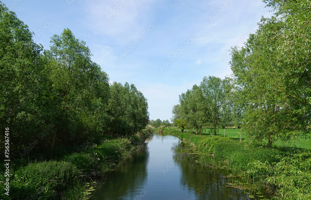 A scenic summertime view of the River Chelmer in Essex, UK. A scenic summertime view of the River Chelmer in Essex, UK.