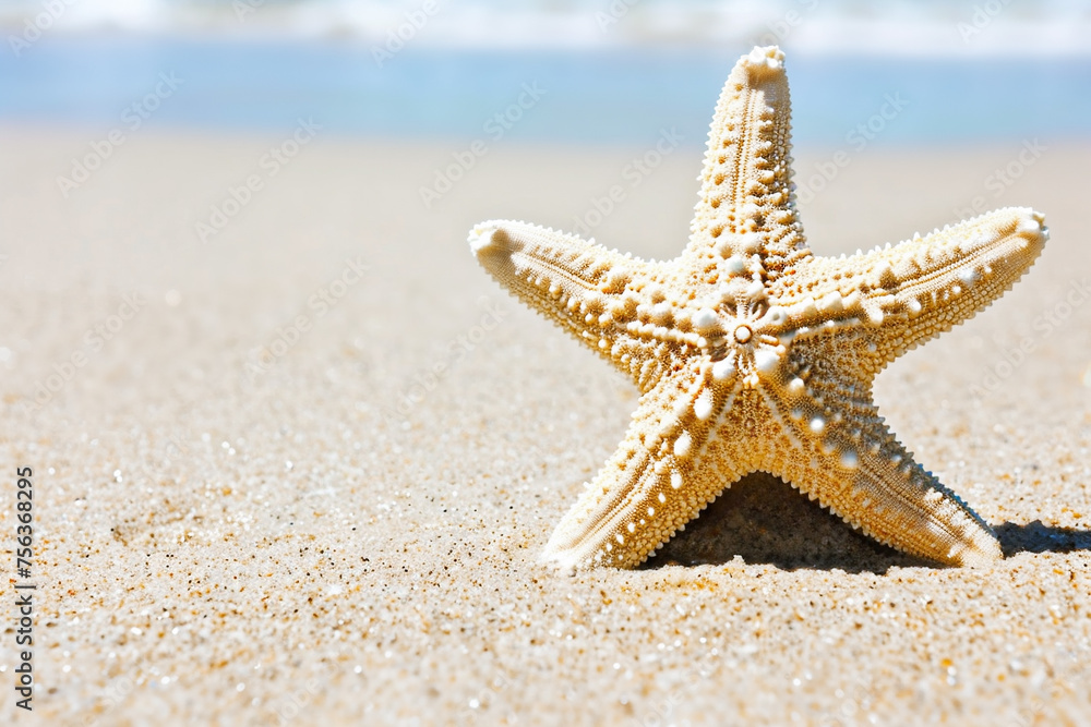 Beach with sea star in sand background. Summer concept Beach with sea star in sand background. Summer concept
