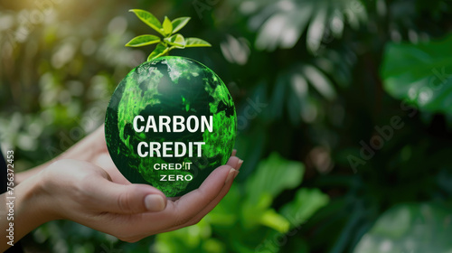 A person is holding a globe with the words Carbon Credit Zero on it