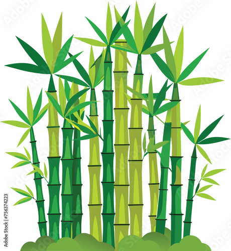 bamboo logo, bamboo isolated on a white background, bamboo tree logo vector design © adnan
