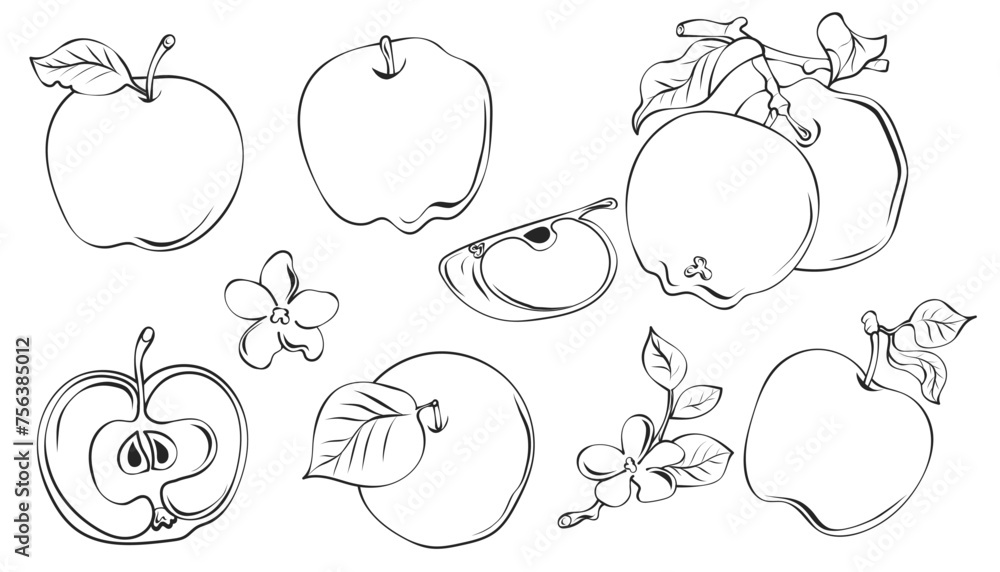 set of apple fruits set of apple fruits
