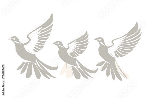 three white and gray birds with their wings spread © AAA