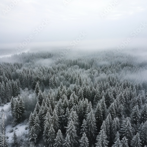 A winter forest from above © Adobe Contributor