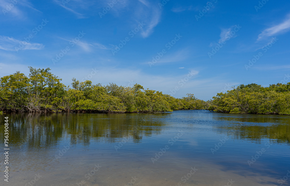 A photograph of the mangrove islands in Robinson Preserve, Bradenton, Florida, shows them against a clear blue sky. The trees are reflected in the calm intracoastal waters. A photograph of the mangrove islands in Robinson Preserve, Bradenton, Florida, shows them against a clear blue sky. The trees are reflected in the calm intracoastal waters.
