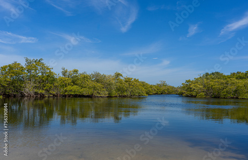 A photograph of the mangrove islands in Robinson Preserve, Bradenton, Florida, shows them against a clear blue sky. The trees are reflected in the calm intracoastal waters.