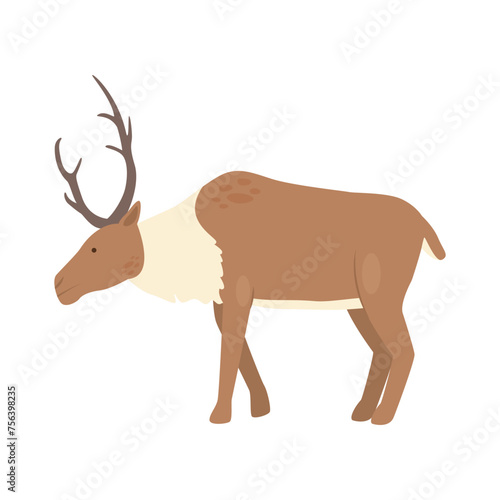 Arctic reindeer animal. Arctic and antarctic animals, snow fauna cartoon vector illustration