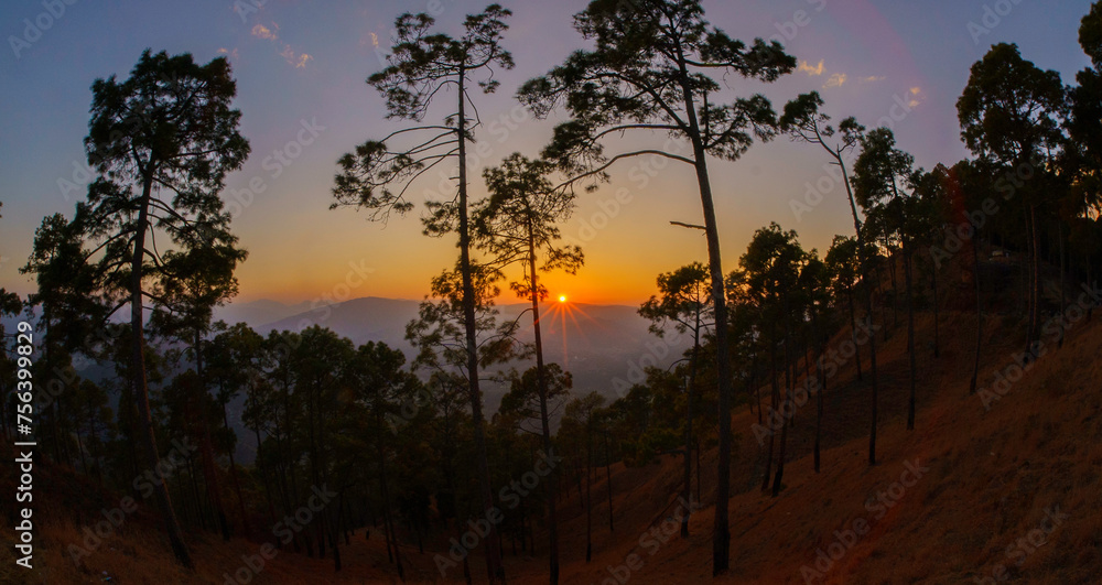 Sunset in the pine forest The evening Mountain Landscapes Photography, at Kasardevi Almora Uttarakhand, India