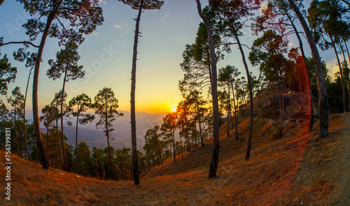 Photography Sunset in the pine forest The evening Mountain Landscapes Photography, at Kasard