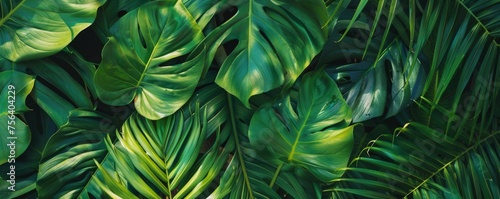 A close-up shot reveals the intricate textures and deep green color of a foliage plant, contrasted against a brightly colored tropical backdrop, highlighting the plant's lushness.