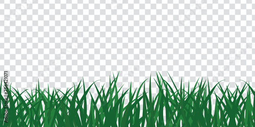 Grass, seamless border on transparent background