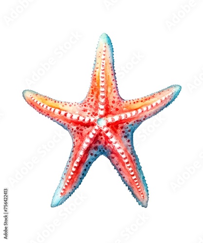 Watercolor illustration of a red starfish isolated on white background.