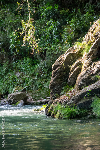 Fototapeta Naklejka Na Ścianę i Meble -  岩肌と川の水流