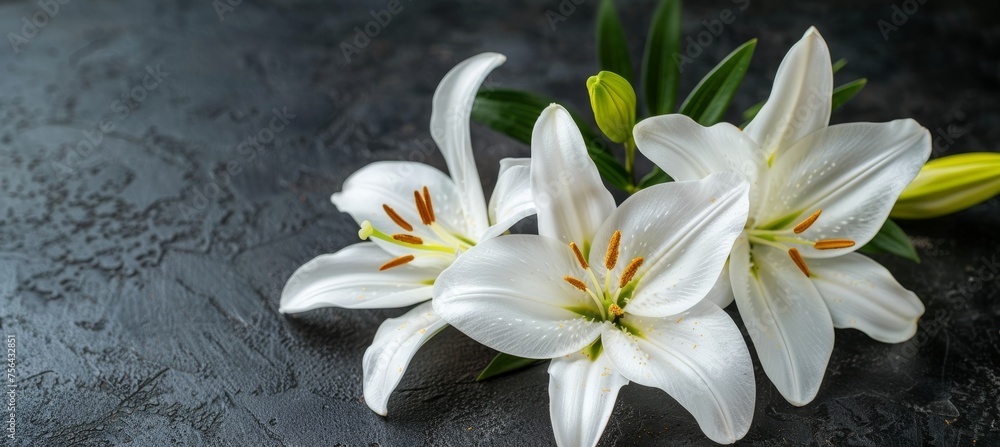 Obraz premium Funeral lily on dark backdrop with space for text, ideal for elegant memorial messages