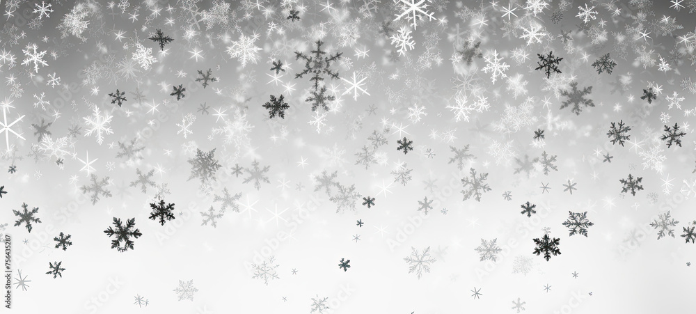 Monochrome Snowflakes Falling