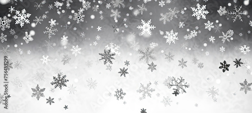 Snow Flakes Falling in Black and White
