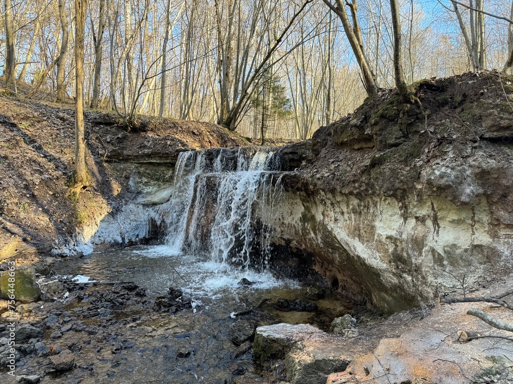 Obraz premium waterfall in the forest