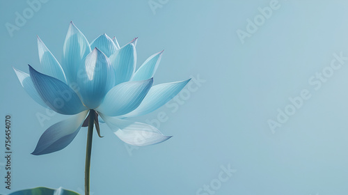 Blue lotus flower on blue background with copy space for text. Beautiful floral frame with space for your own design..