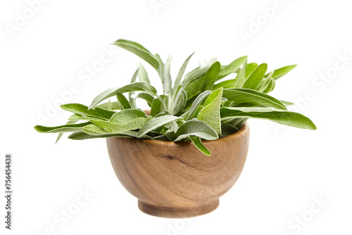 A wooden bowl filled with green sage leaves, isolated on a white background